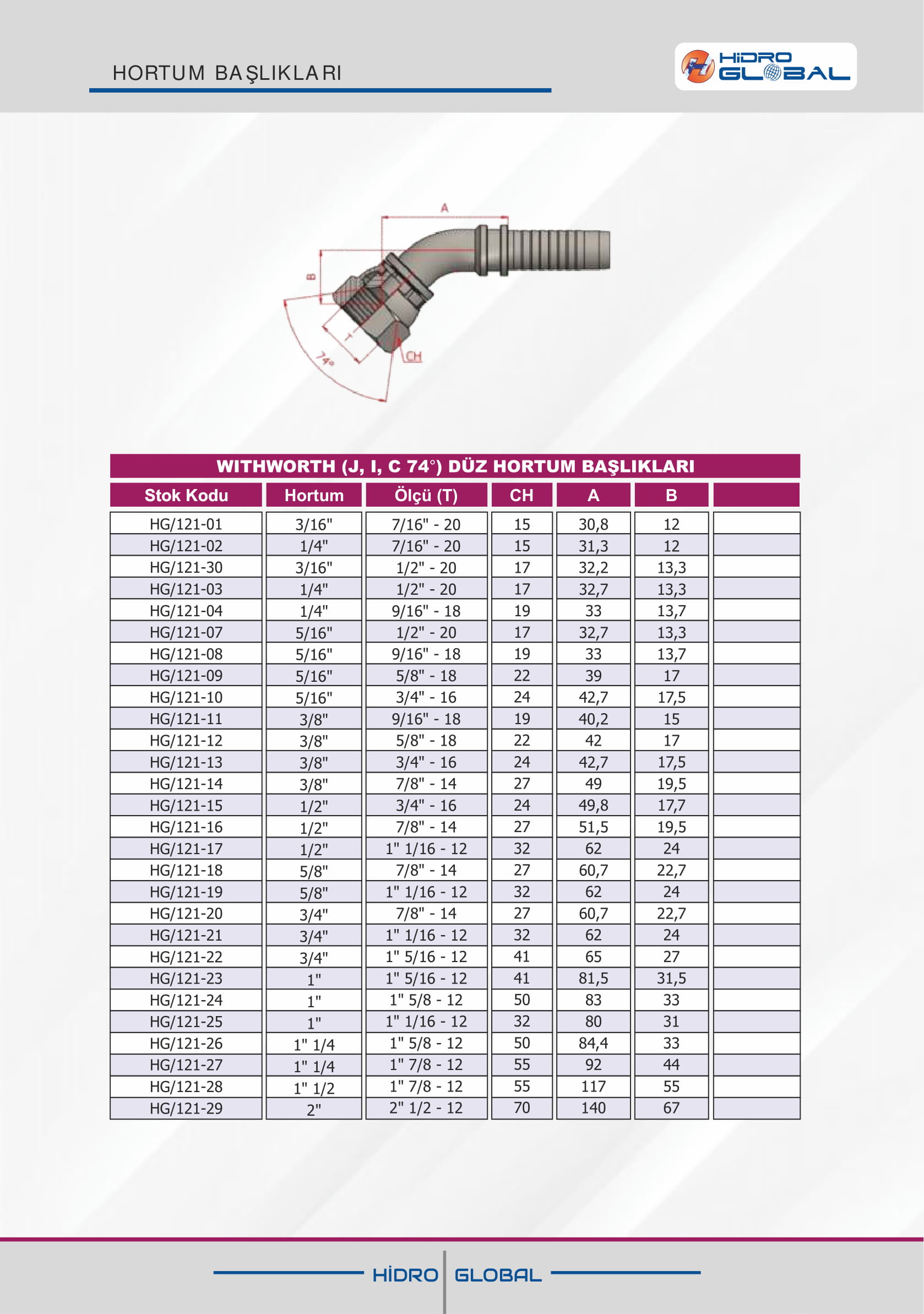 WITHWORTH J I C 74 DÜZ HORTUM BAŞLIKLARI